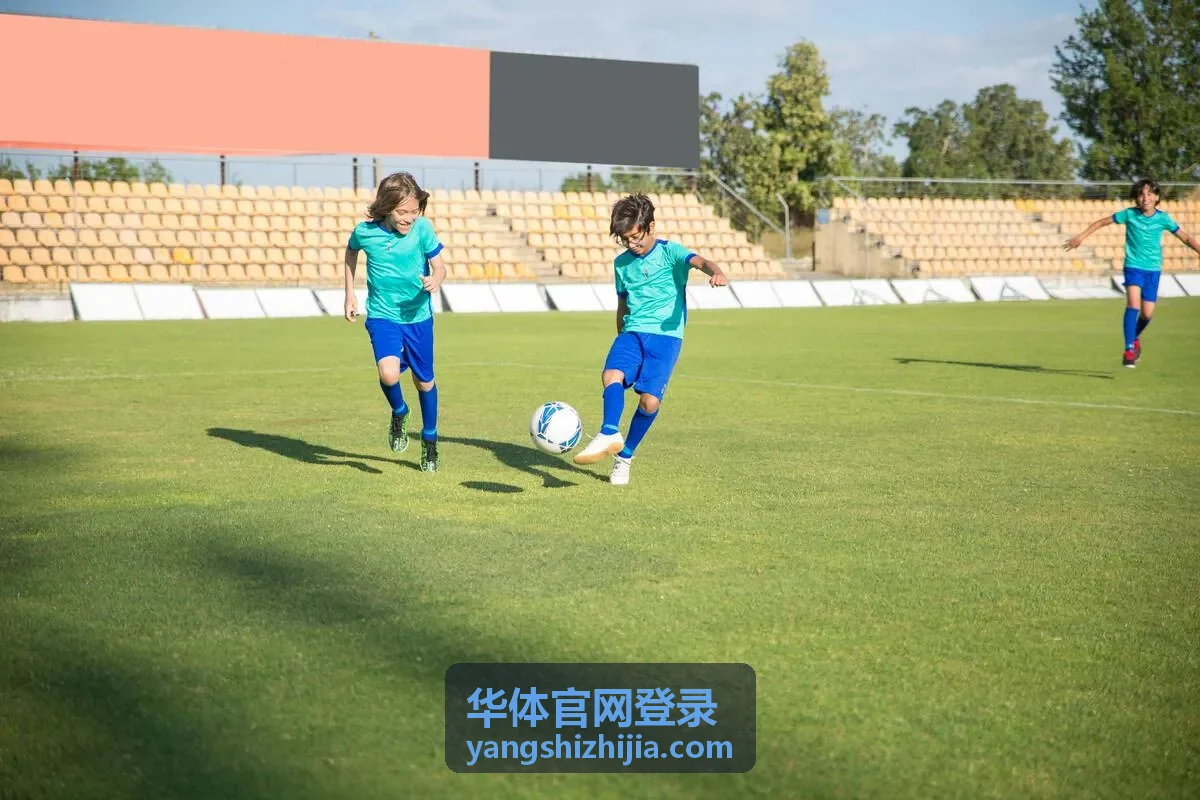 华体官网登录个人用户票务与会员权益界面