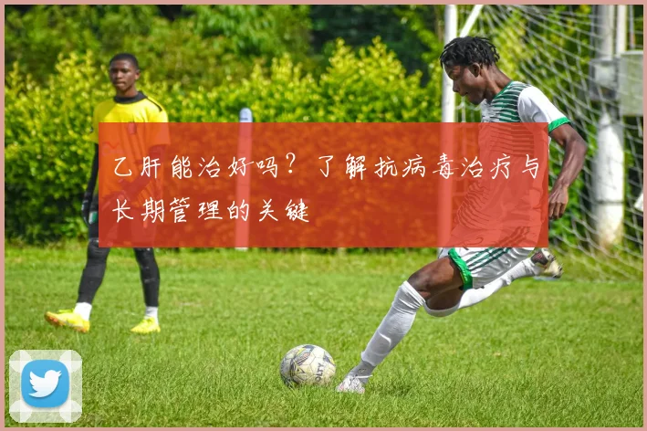 乙肝能治好吗？了解抗病毒治疗与长期管理的关键