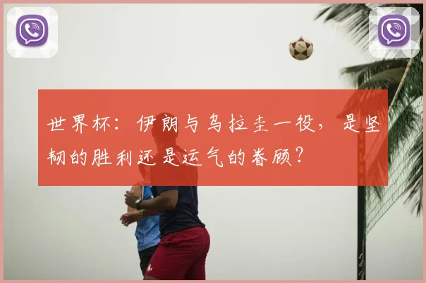 世界杯：伊朗与乌拉圭一役，是坚韧的胜利还是运气的眷顾？