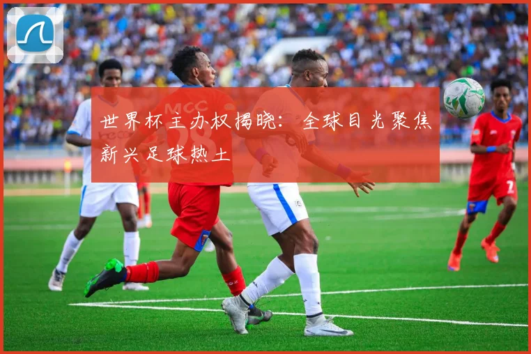 世界杯主办权揭晓:全球目光聚焦新兴足球热土
