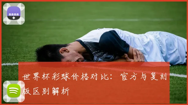 世界杯彩球价格对比：官方与复刻版区别解析