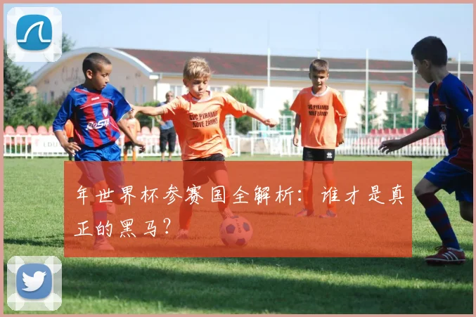 年世界杯参赛国全解析:谁才是真正的黑马?