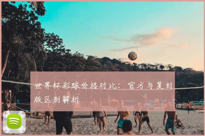 世界杯彩球价格对比：官方与复刻版区别解析
