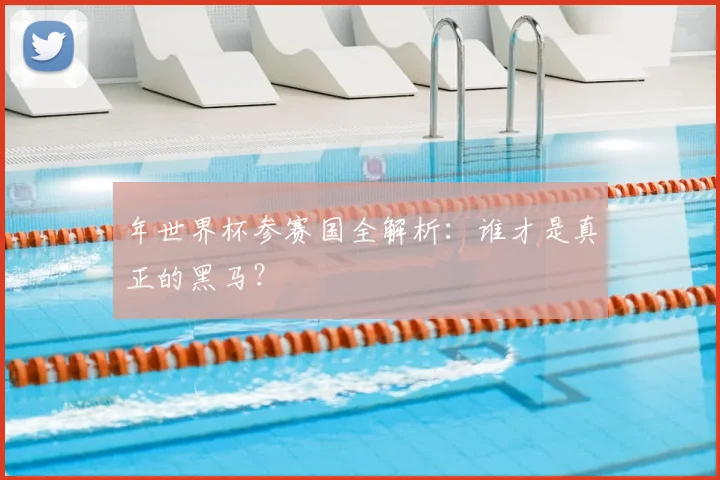 年世界杯参赛国全解析:谁才是真正的黑马?
