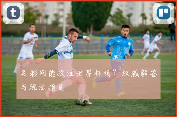 足彩网能投注世界杯吗？权威解答与玩法指南