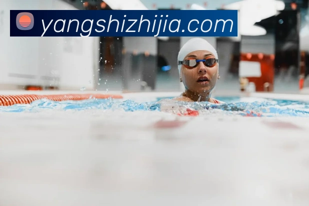 星空官方网站平台平台生态图