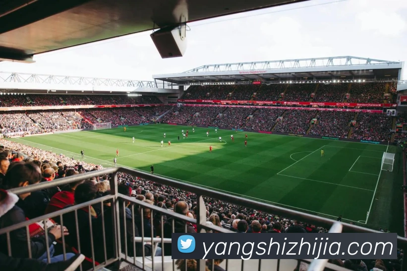 星空官方网站平台全站App